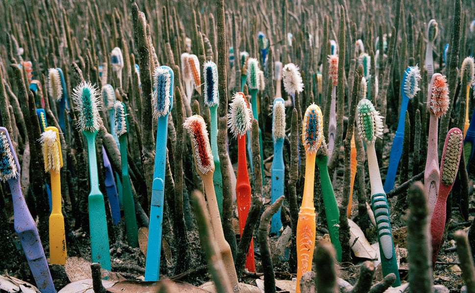 Bamboo toothbrush